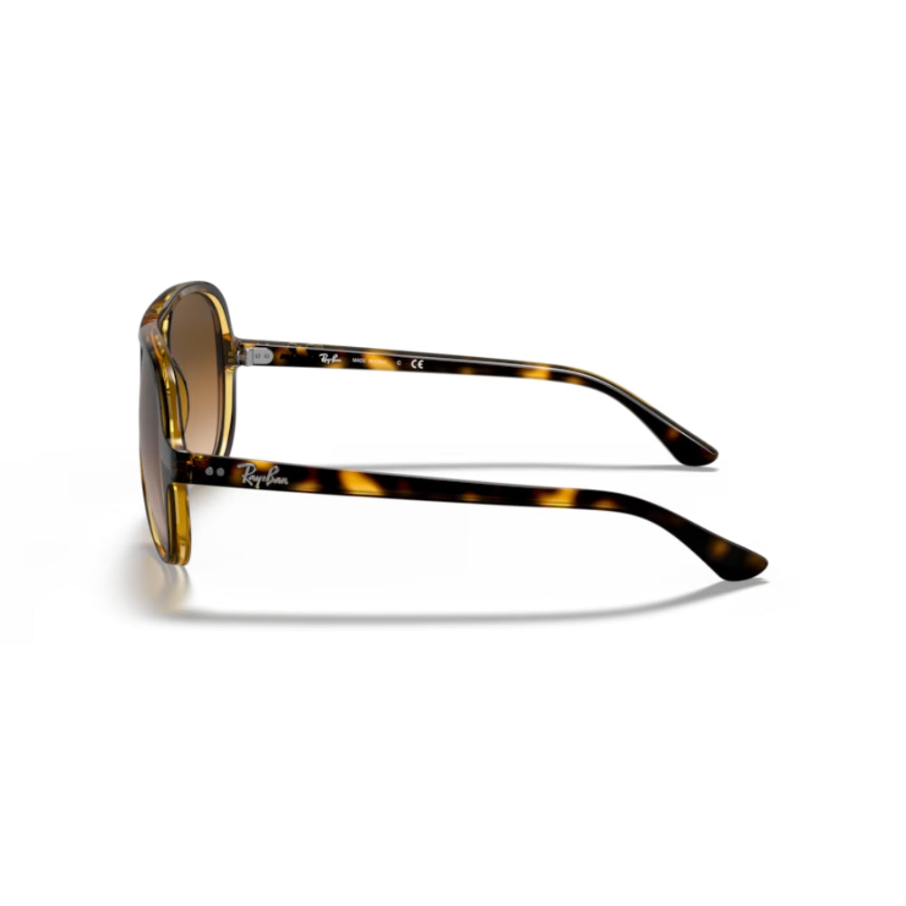 Ray-Ban  Cats 5000 Lentes de Sol