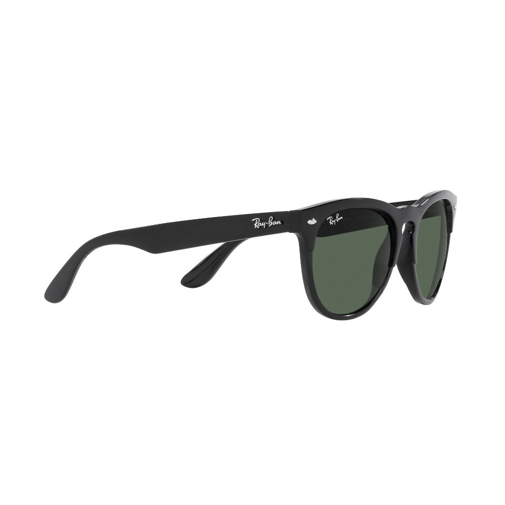 Ray-Ban  Iris