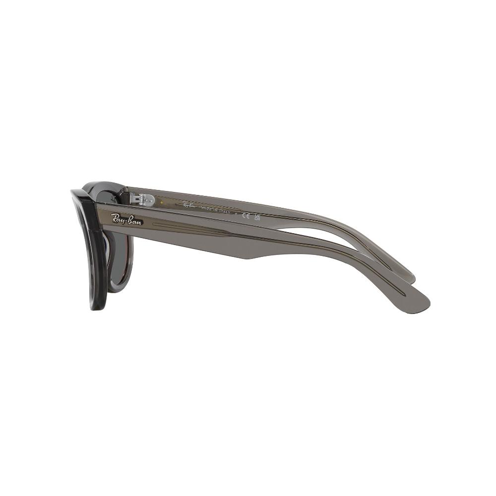 Ray-Ban  Wayfarer Reverse