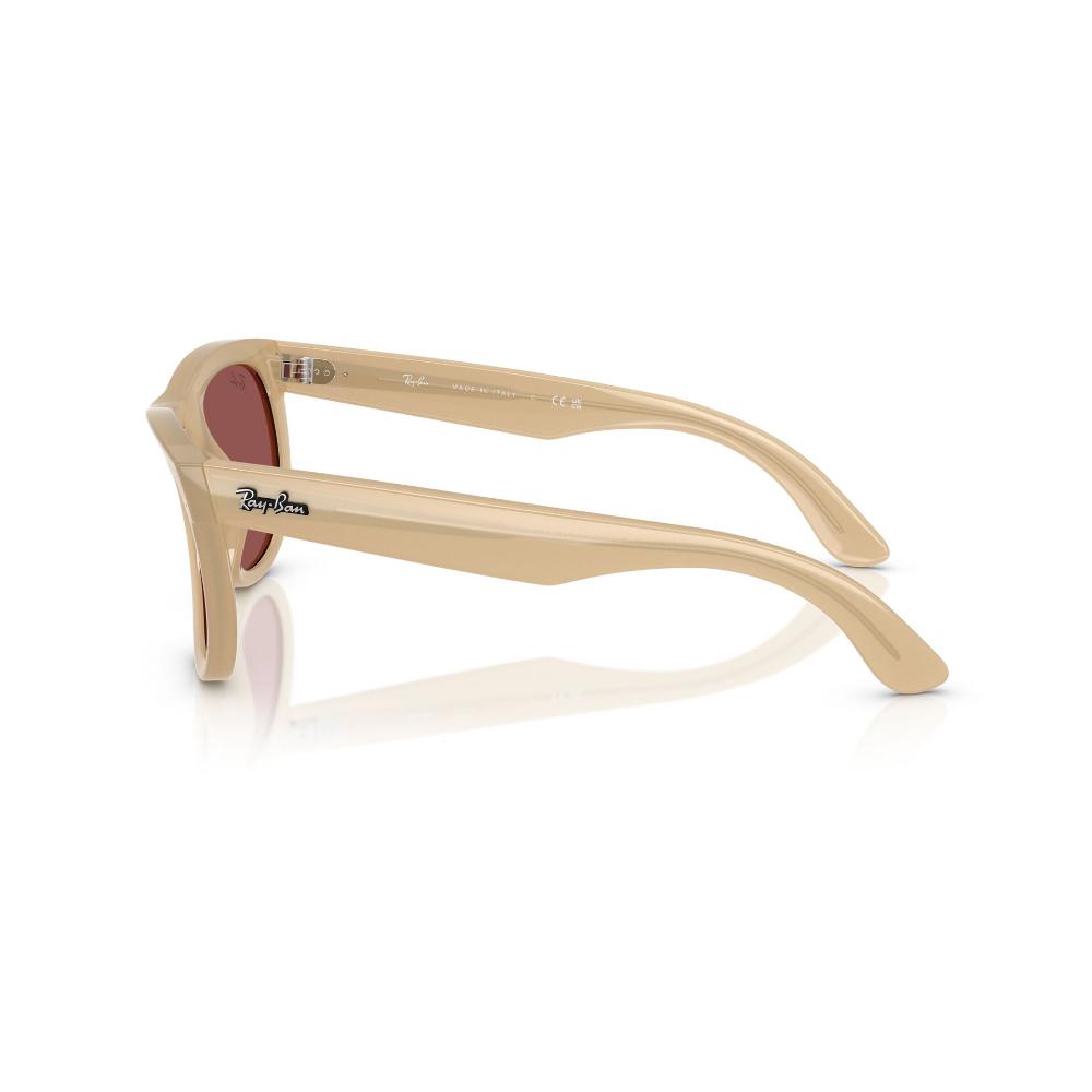 Ray-Ban Wayfarer Reverse