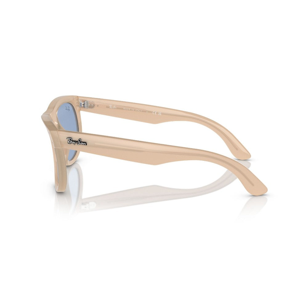 Ray-Ban Wayfarer Reverse