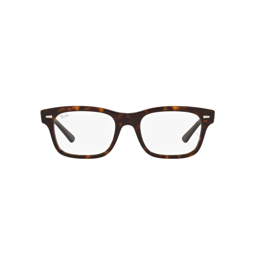 Ray-Ban  Mr Burbank