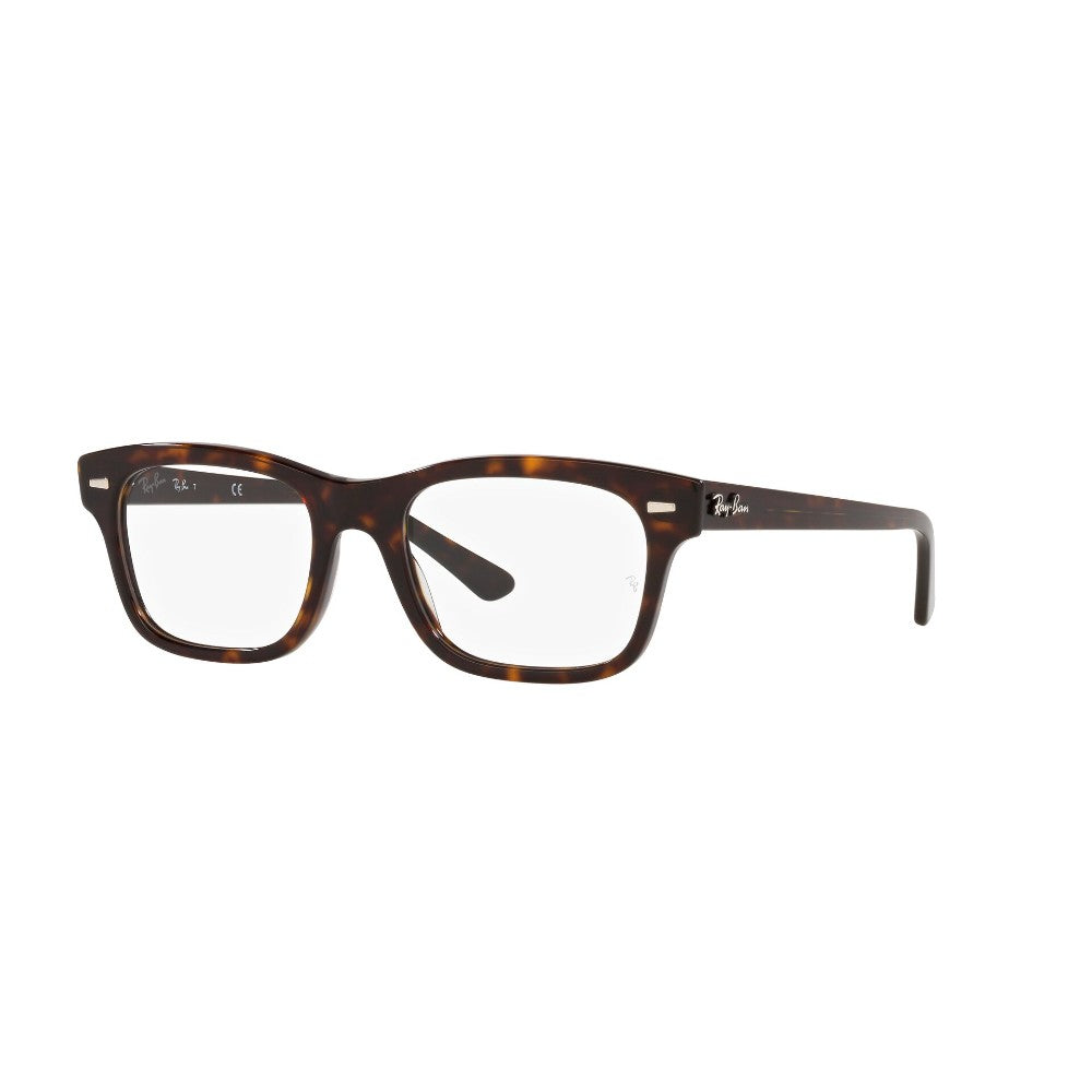 Ray-Ban  Mr Burbank