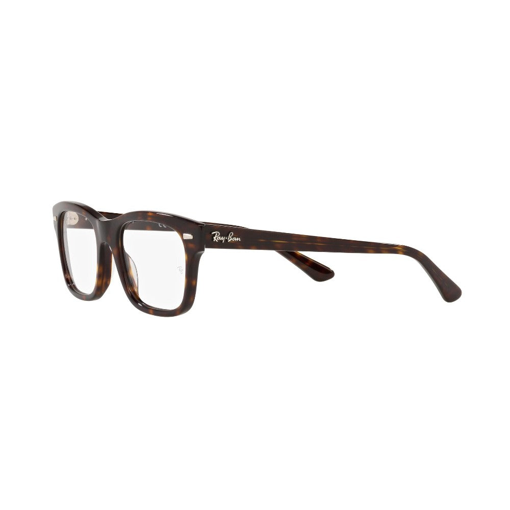 Ray-Ban  Mr Burbank