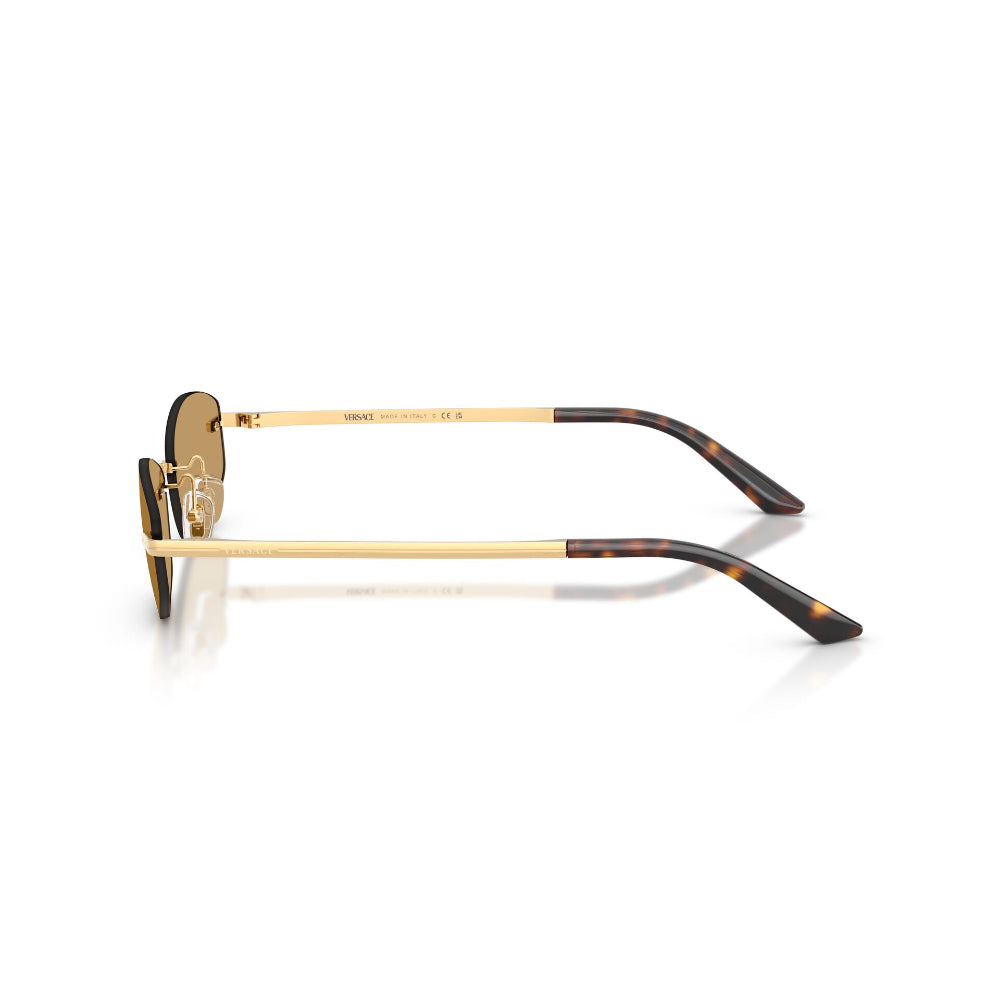 Versace  VE 2308D